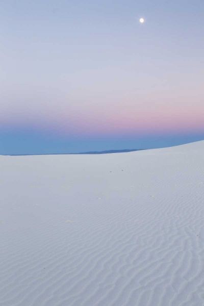 New Mexico, White Sands NM Moon over desert